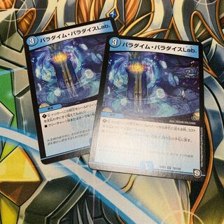 パラダイム・パラダイスLab 2枚