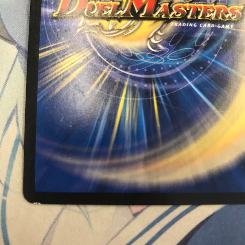 革命類侵略目 パラスキング