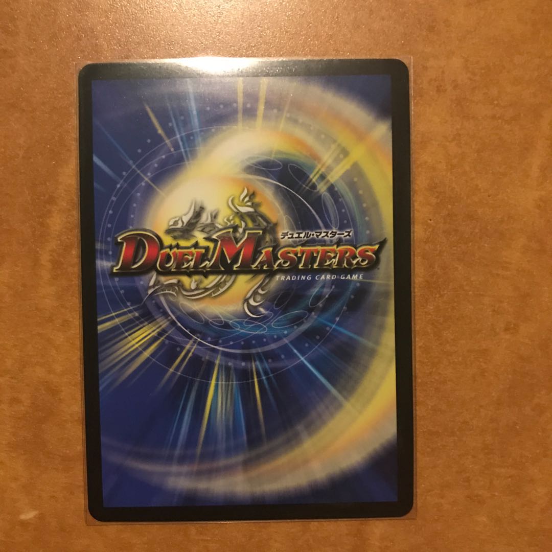 ソーシャル・マニフェストII世　1枚