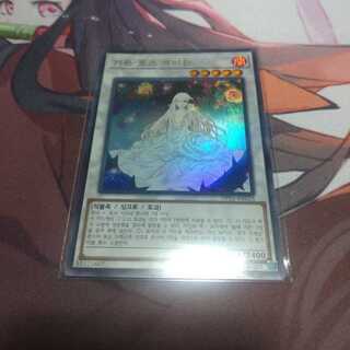 韓国　ガーデン・ローズ・メイデン ウルトラレア