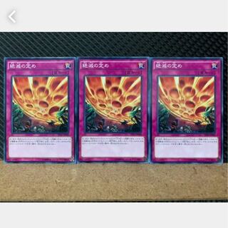 【ぽぽたん】遊戯王 3876 絶滅の定め 3枚 ノーマル