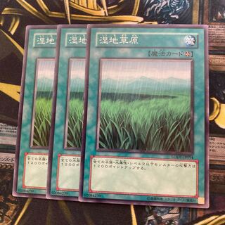 マドレース1004湿地草原 ノーマル