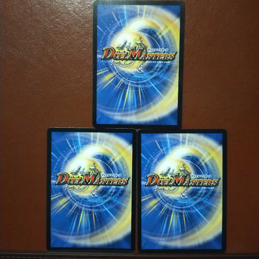 セット割引　聖板龍 ジークシュトルツ