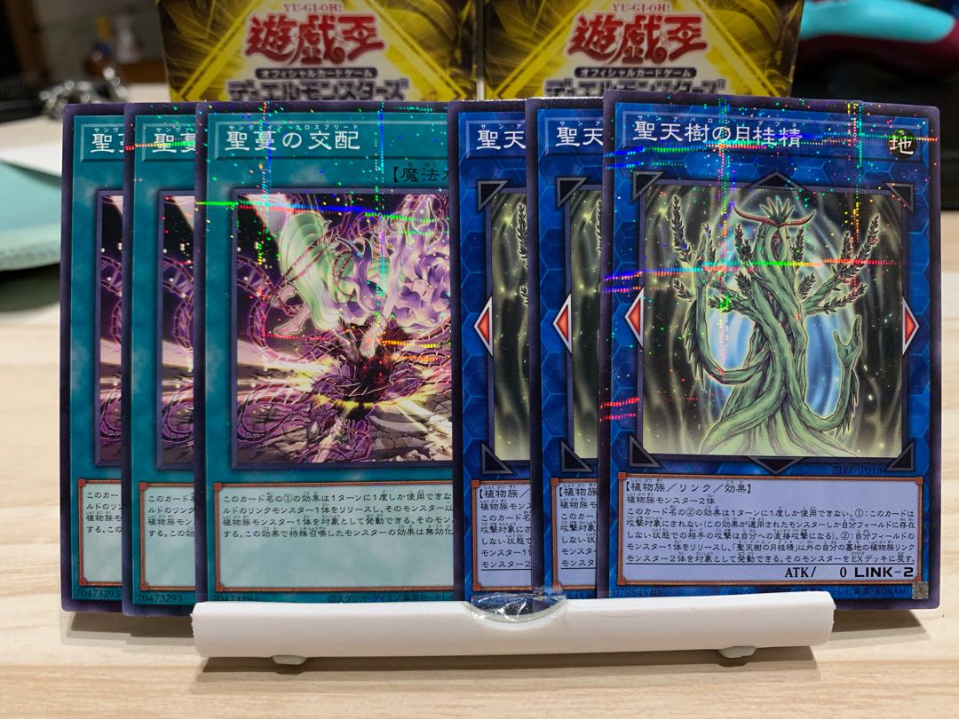 Sunavalon Daphne, Sunvine Cross Breed