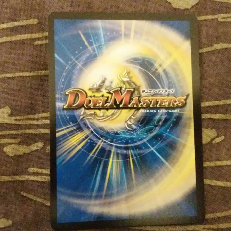 神聖龍 エモーショナル・ハードコア