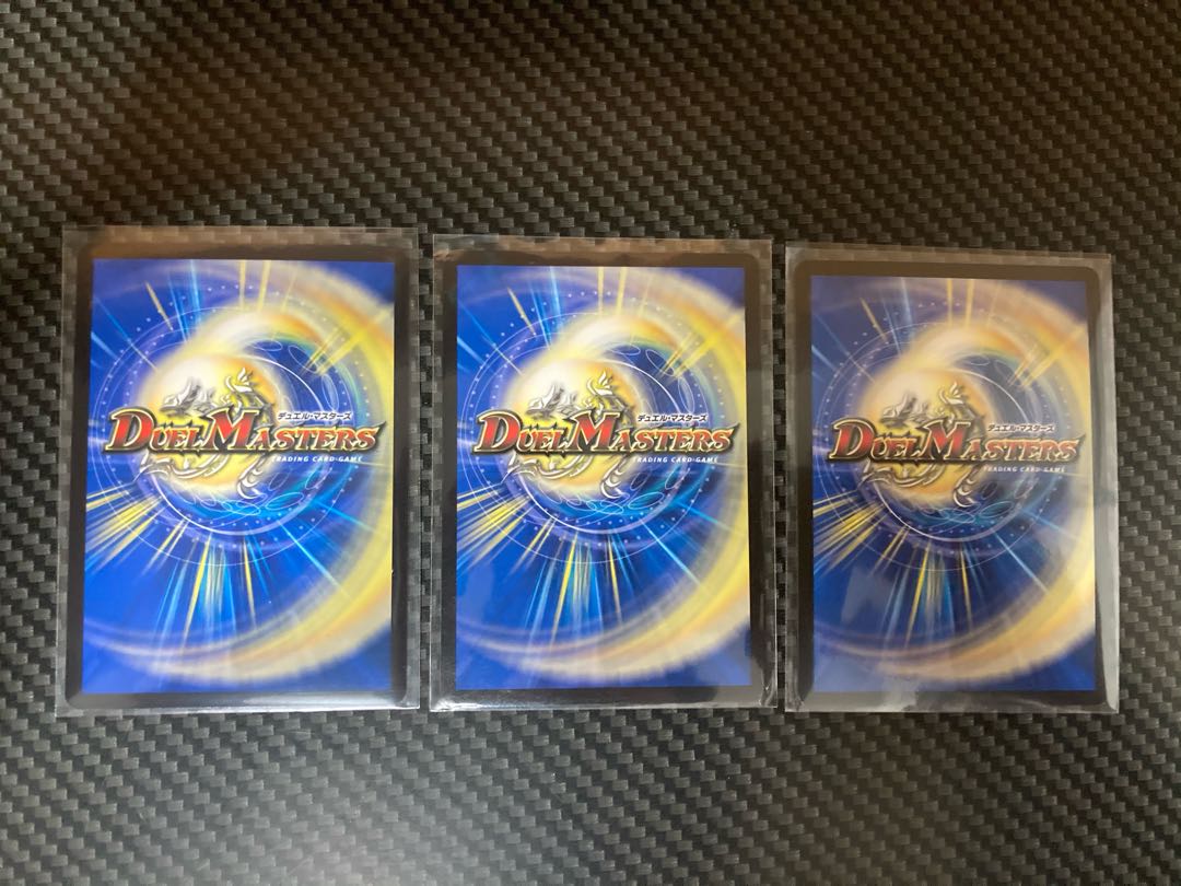 「絶対の楯騎士」