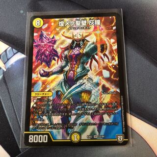 煌メク聖壁 灰瞳