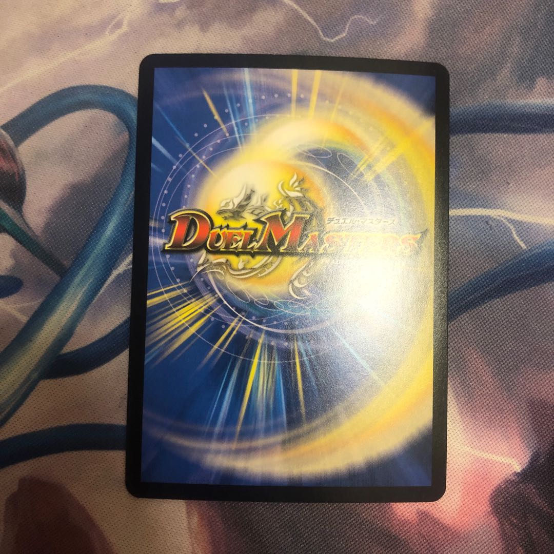 「絶対の楯騎士」