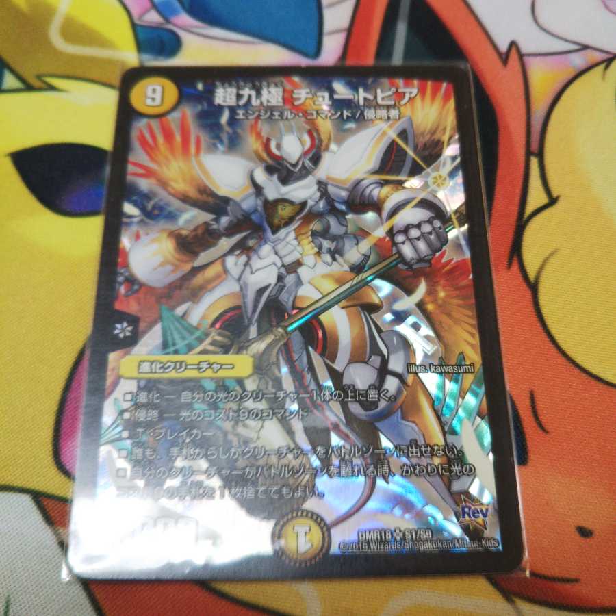 超九極 チュートピア一枚