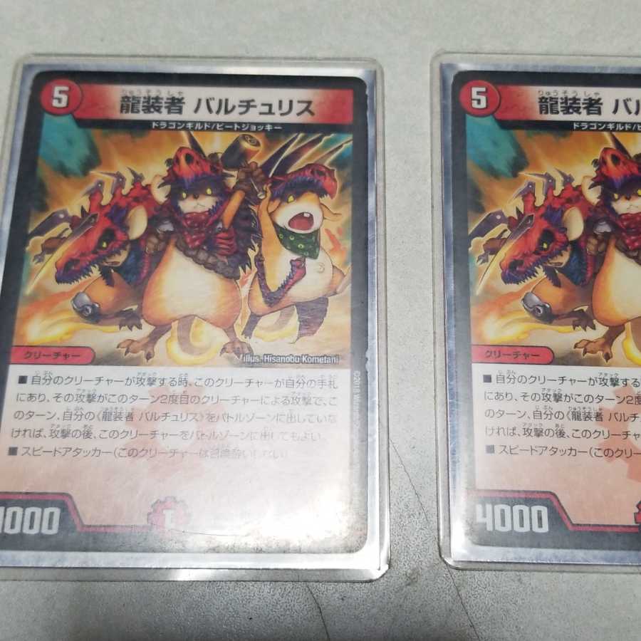 for the exclusive use of kitty cats