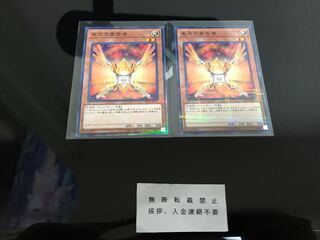 朱光の宣告者 ノーパラ ２枚