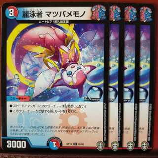 セット割引　麗泳者 マツバメモノ