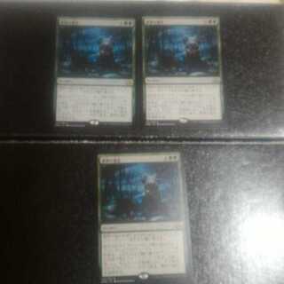 Eldritch Evolution Japanese 3-card set