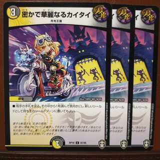 セット割引　密かで華麗なるカイタイ