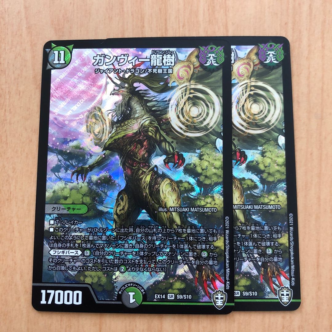 ガンヴィー龍樹