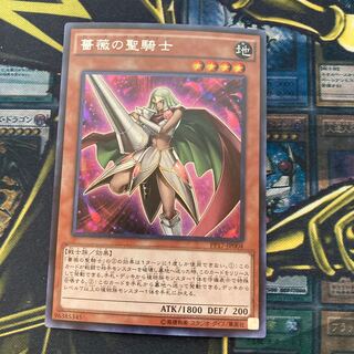 マドレース1087薔薇の聖騎士 シークレットレア