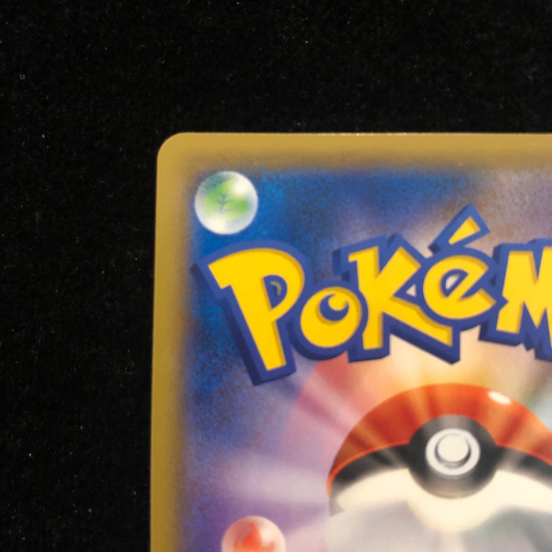 ソニア SR 追記あり 1枚