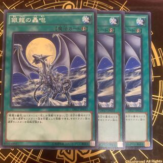 銀龍の轟咆 ノーマル　【きょうこ】