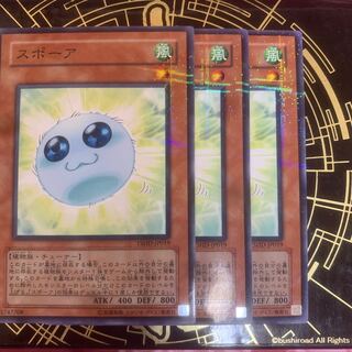 スポーア パラレル ノーマル　【きょうこ】