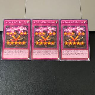 レベルレジストウォール