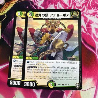 遅丸の鎖 アチョーボア