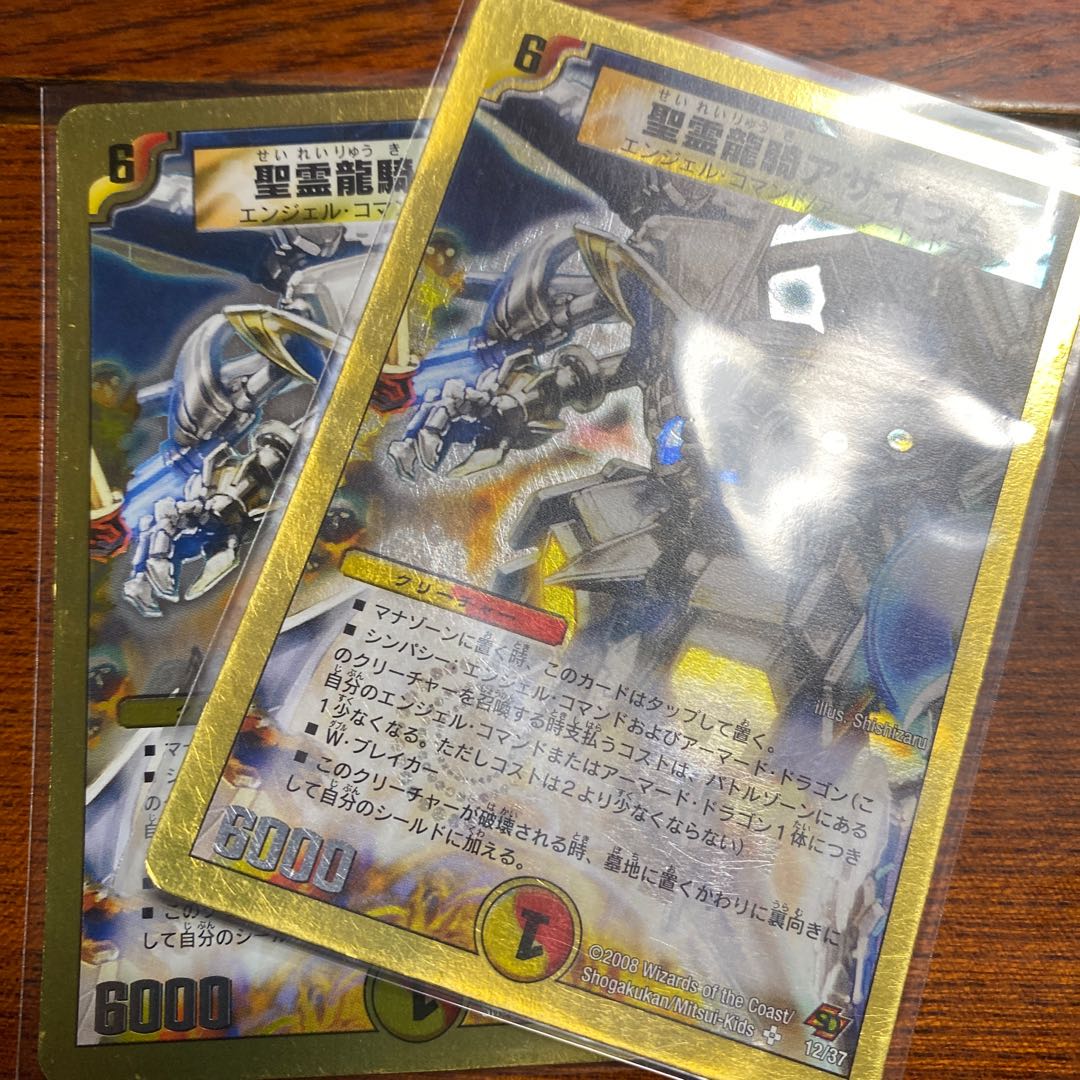 聖霊龍騎アサイラム