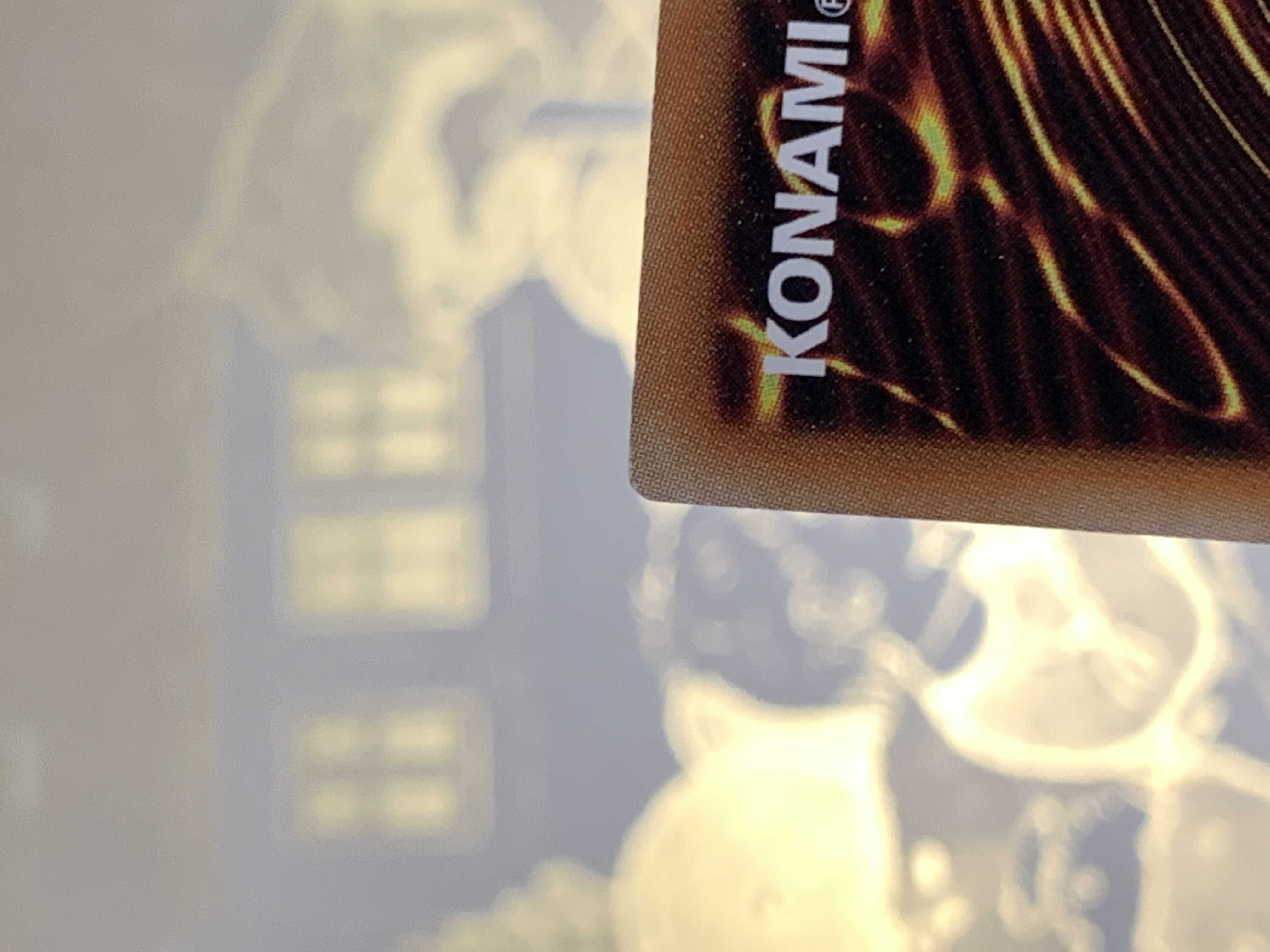 青眼の亜白龍 KCレア　1枚