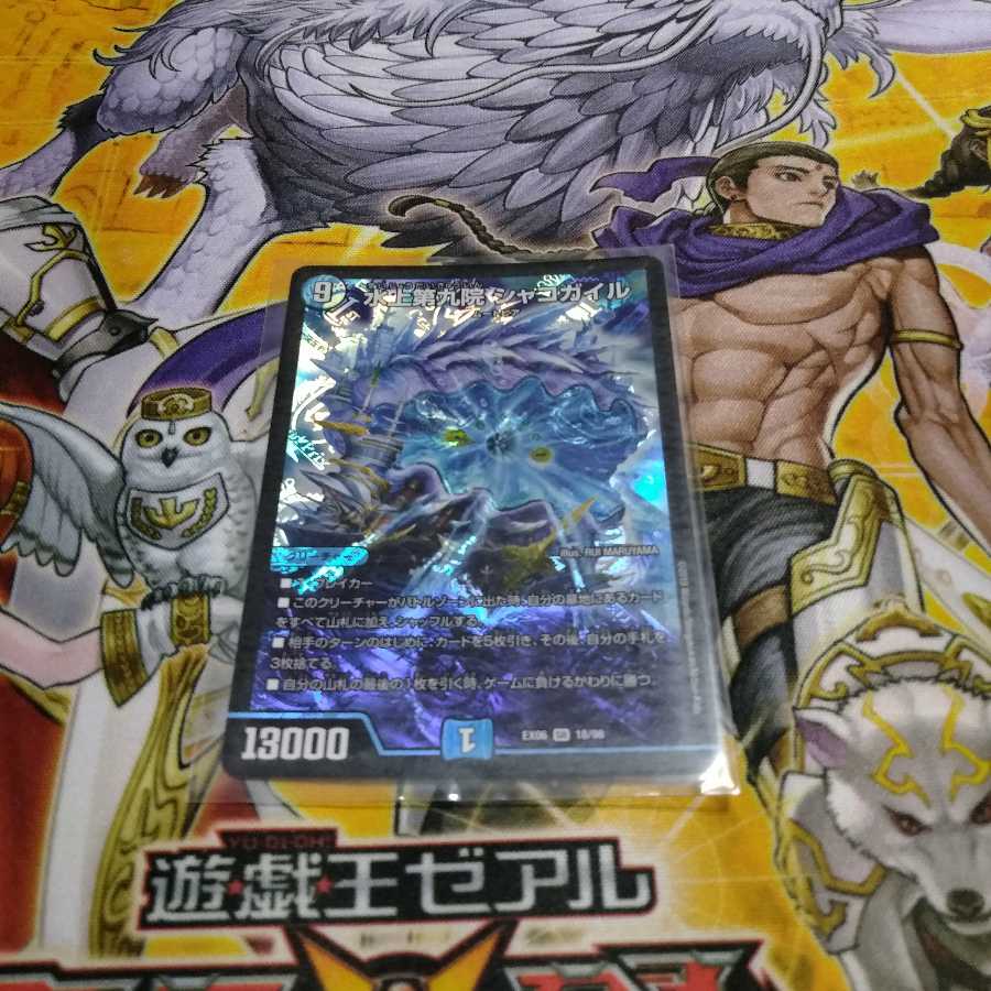 水上第九院 シャコガイル