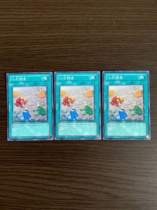 化石調査 ノーマル3枚セット