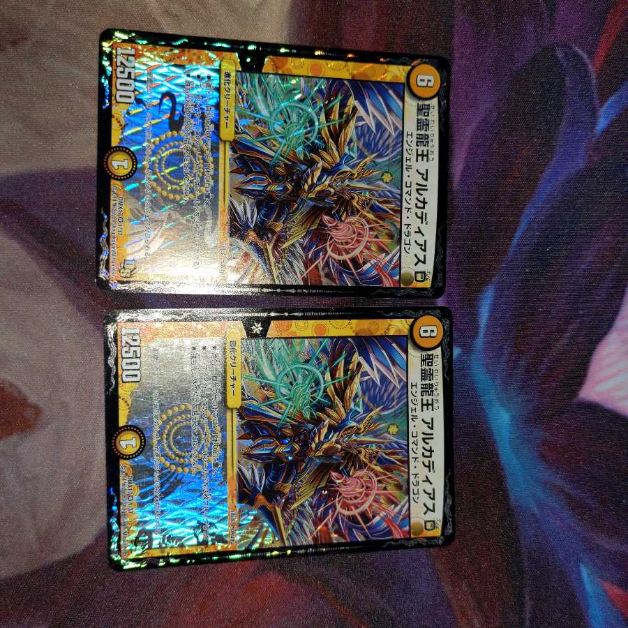 聖霊龍王 アルカディアスD 二枚