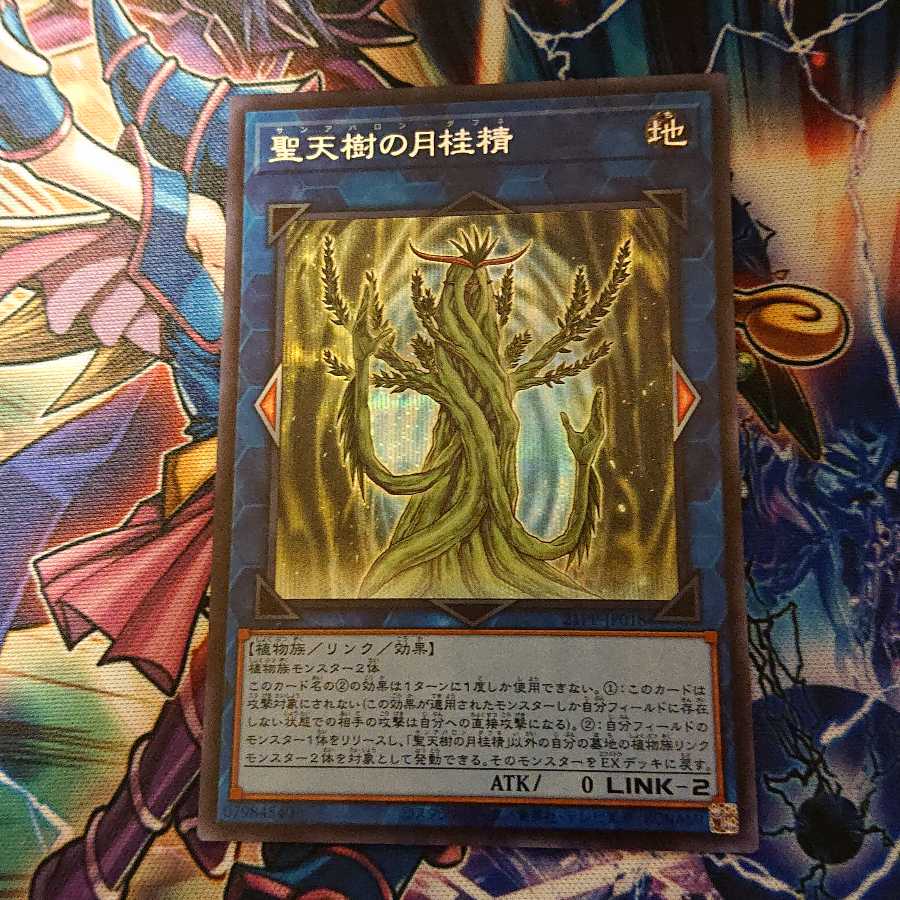 聖天樹の月桂精 サンアバロンダフネ シークレット