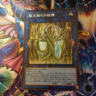 聖天樹の月桂精 サンアバロンダフネ シークレット