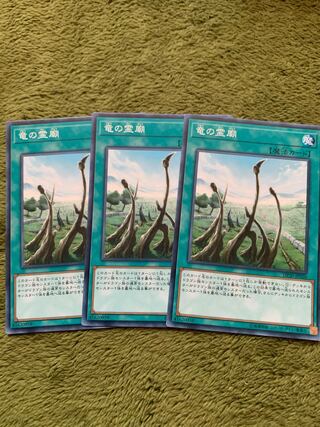 竜の霊廟 ノーマル3枚