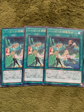 ハーピィの羽根休め レア3枚