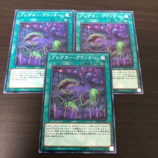 プレデター・プランター