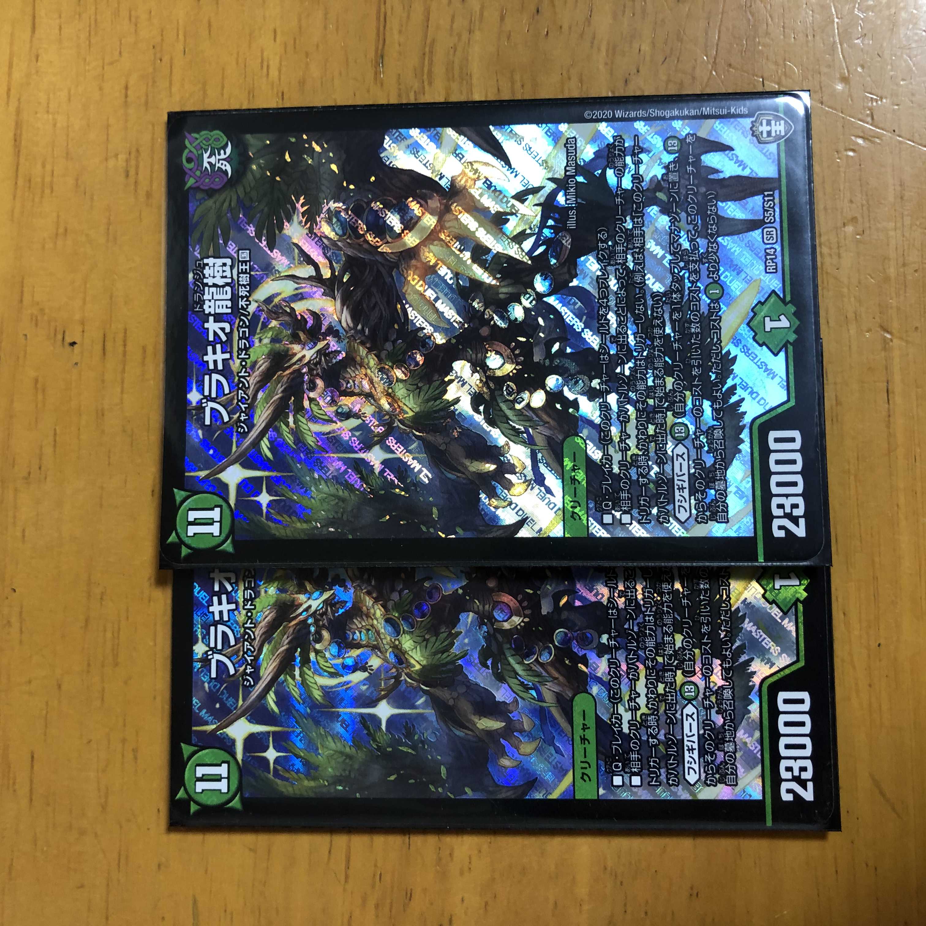 ブラキオ龍樹 SR