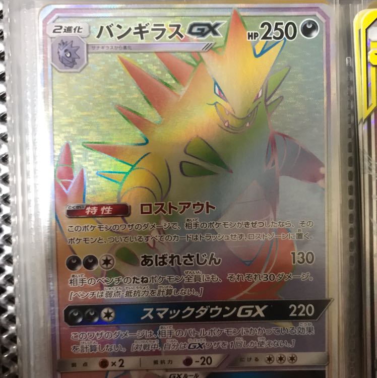 つな様専用バンギラス HR