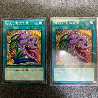 強欲で貪欲な壺