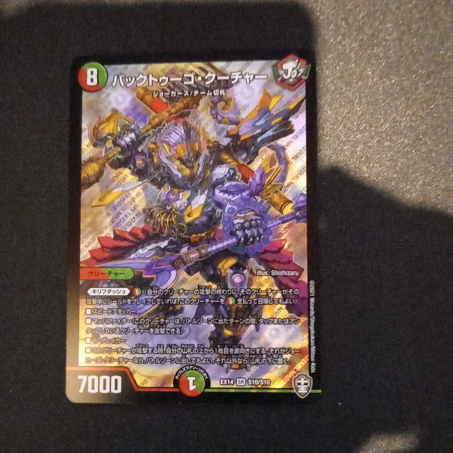 バックトゥーゴ・クーチャー