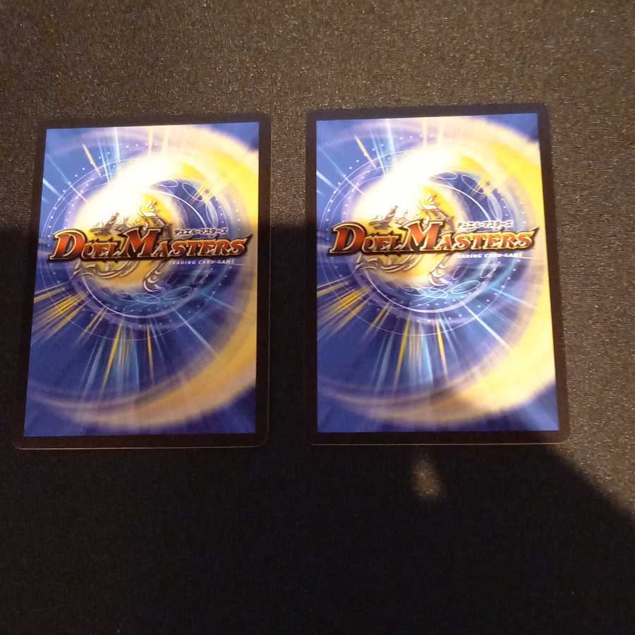 ガンヴィー龍樹