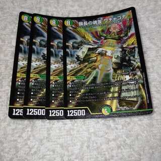 族長の魂友 ワチャゴナ