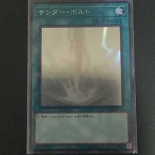 U@様専用)サンダーボルトホロ