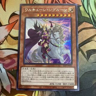 ワルキューレ・シグルーン　シク