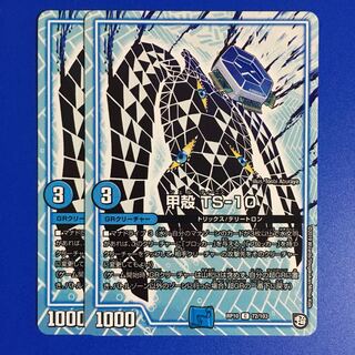 甲殻 TS-10 2枚セット