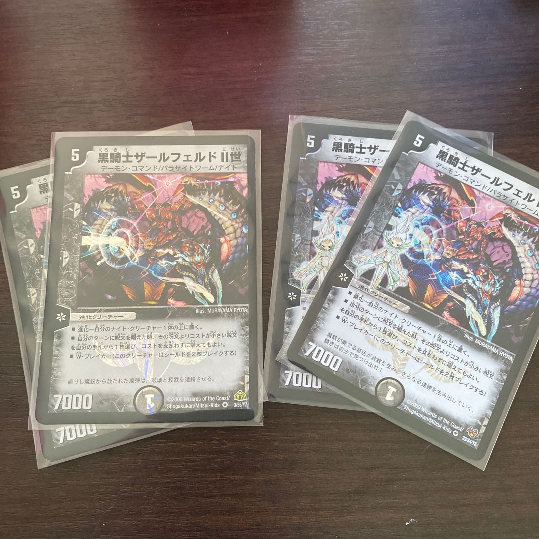 黒騎士ザールフェルドII世