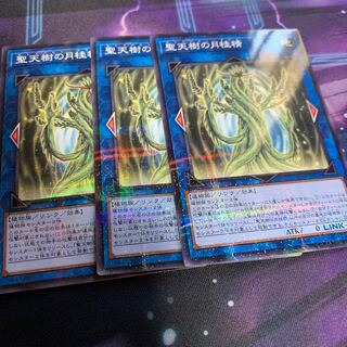 聖天樹の月桂精  ノーパラ