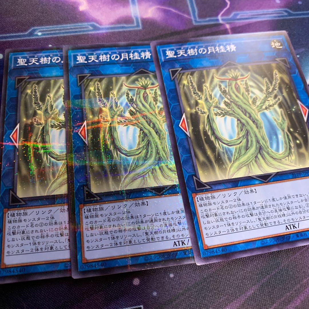 Sunavalon Daphne No para 2 Normal 1