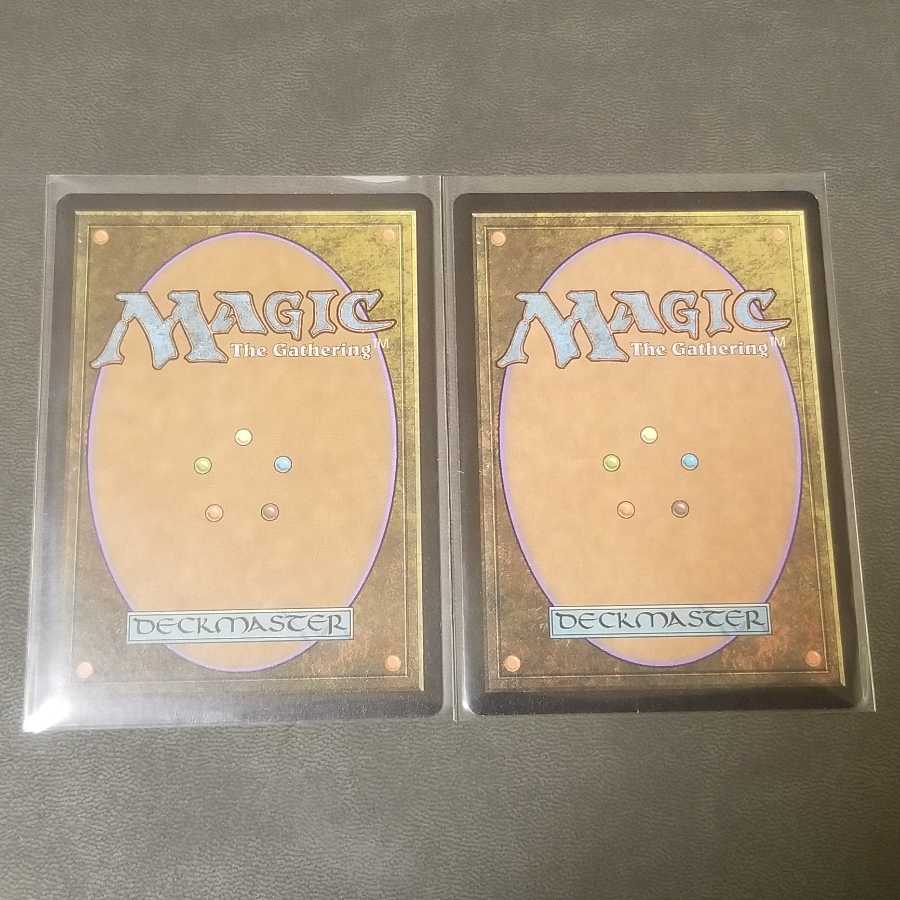 MTG 2枚セット 白鳥の歌 Swan song THS 日本語版