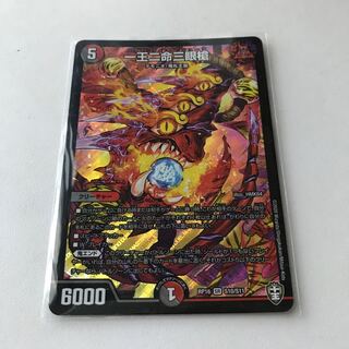 一王二命三眼槍　バラドヴィナシューラ