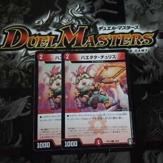 ハエタタ・チュリス